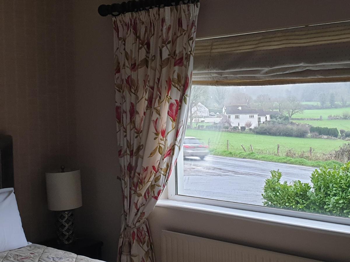 Viewmount Thomastown (Kilkenny) Exterior foto