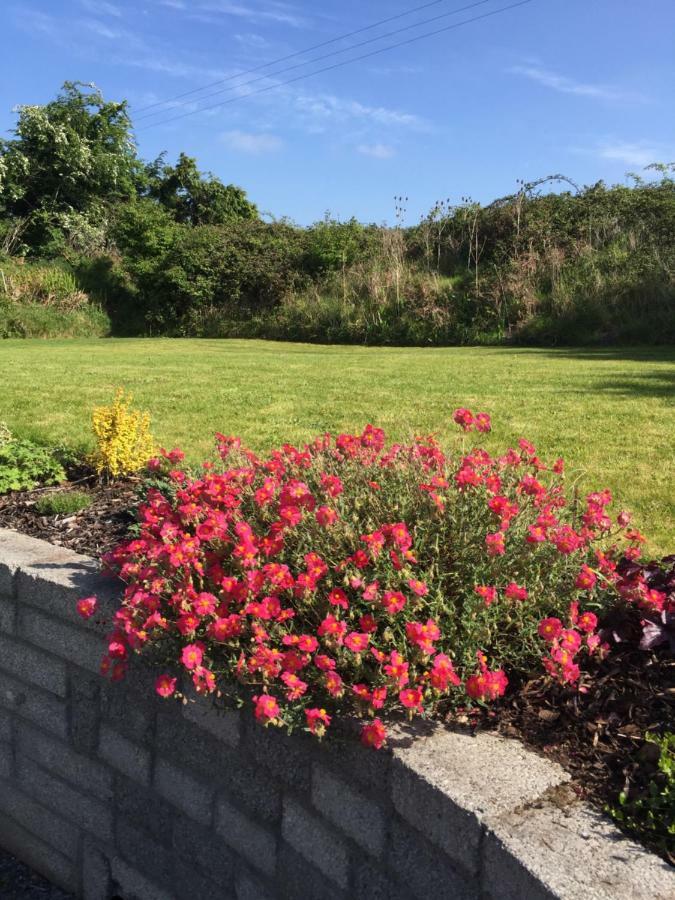 Viewmount Thomastown (Kilkenny) Exterior foto
